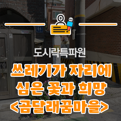  쓰레기가 사라진 자리에 화단이 생겨나다: 양천구 신월1동 곰달래꿈마을