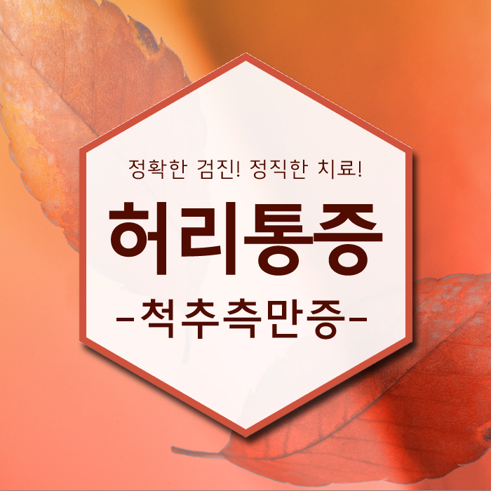 청주허리통증 , 정확하게 진단하고 정직하게 치료합니다.