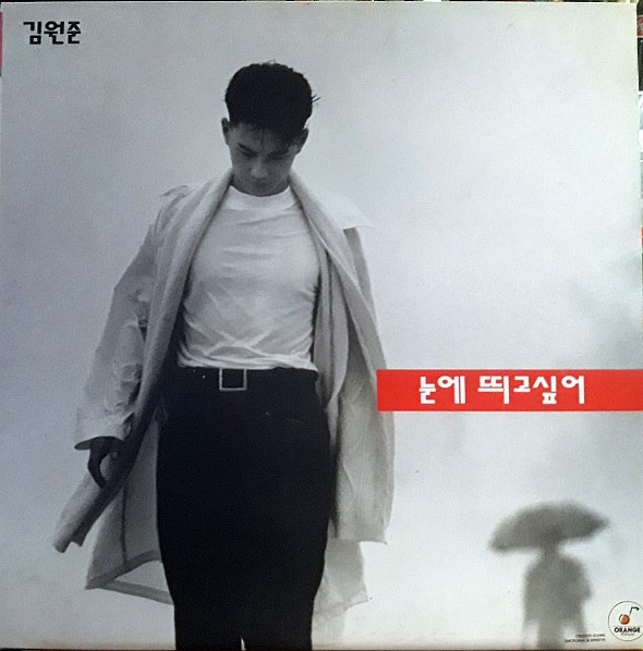  김원준 LP  김원준 1집 Wanna Be Sexy - 눈에 띄고싶어 LP .