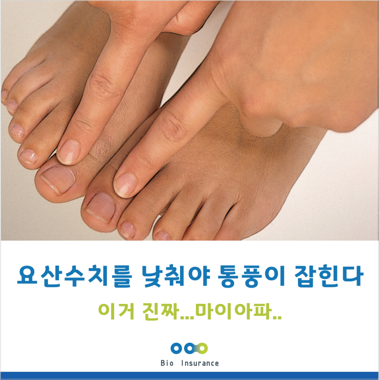  요산 수치를 낮춰야 통풍이 잡힌다