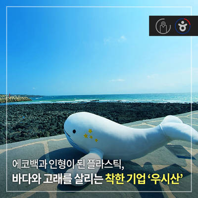 [관광벤처 탐방 시리즈] 에코백과 인형이 된 플라스틱, 바다와 고래를 살리는 착한 기업 '우시산'