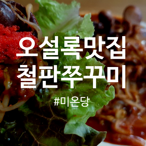  제주오설록근처맛집 미온당 철판쭈꾸미 완전추천