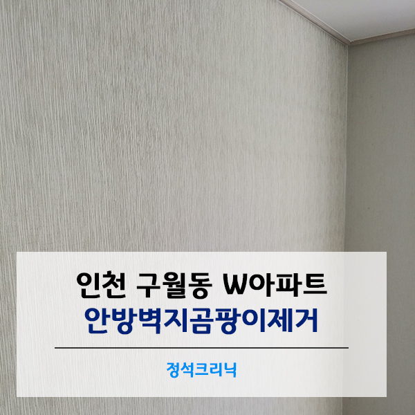  인천곰팡이제거 _ 구월동 아파트 벽지곰팡이제거 및 단열벽지시공 현장