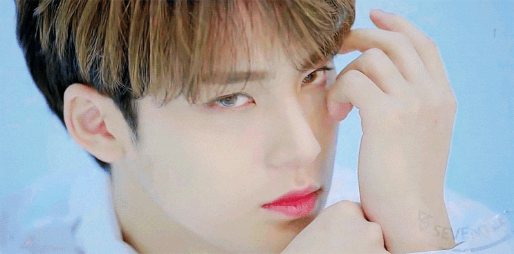  [ 세븐틴 빙의글 / 빌런 / 히어로물 ] 나쁜놈은 싫은데 돈은 좋아 12.