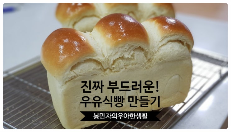  [봉만자의 only baking] 진짜 부드러운 우유식빵 만들기