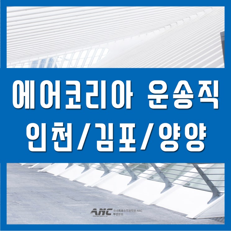  에어코리아 인천김포양양공항 지상직 채용