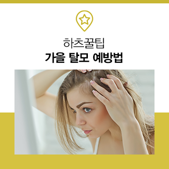  가을철 탈모가 심해지는 이유와 예방법