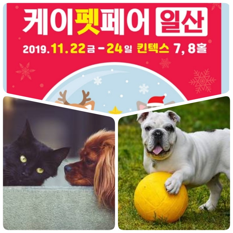  일산 케이펫페어 2019 일정 확인