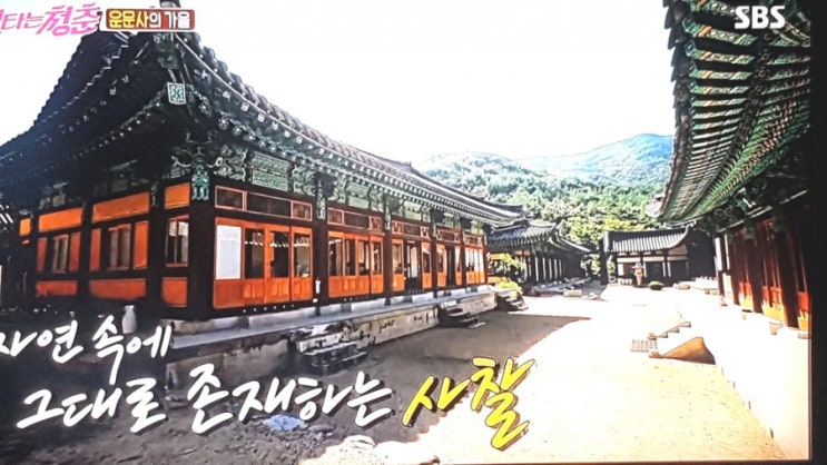 불타는청춘! 자연속에 그대로 존재하는 사찰 "운문사"의 가을