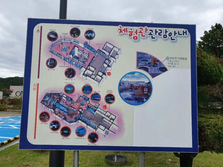  울진 민물고기생태체험관 추억 쌓기