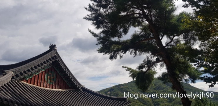  지야의 평범한 하루 : 안양사 다녀왔어요~