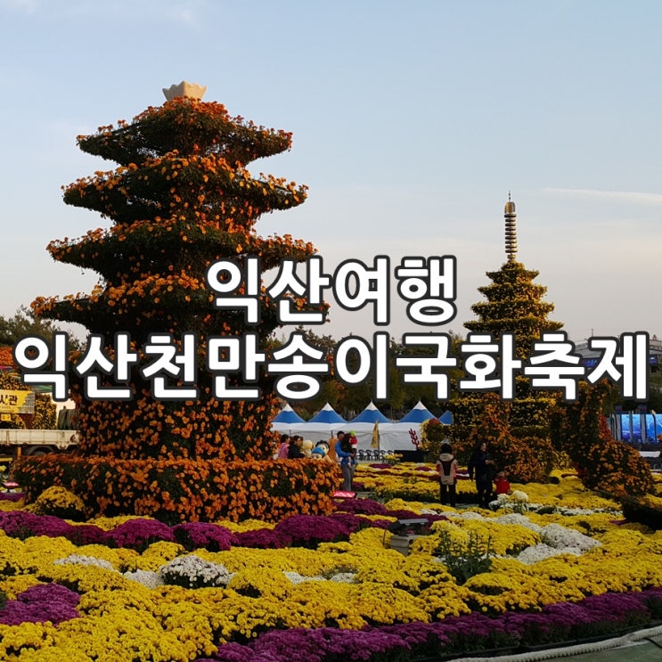  제16회 익산천만송이국화축제 입장료 무료? 익산여행 고!