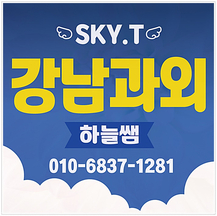  대치 수학과외 도곡동 중등영어과외 수서동 청담동 확실하게 잡히는 성적