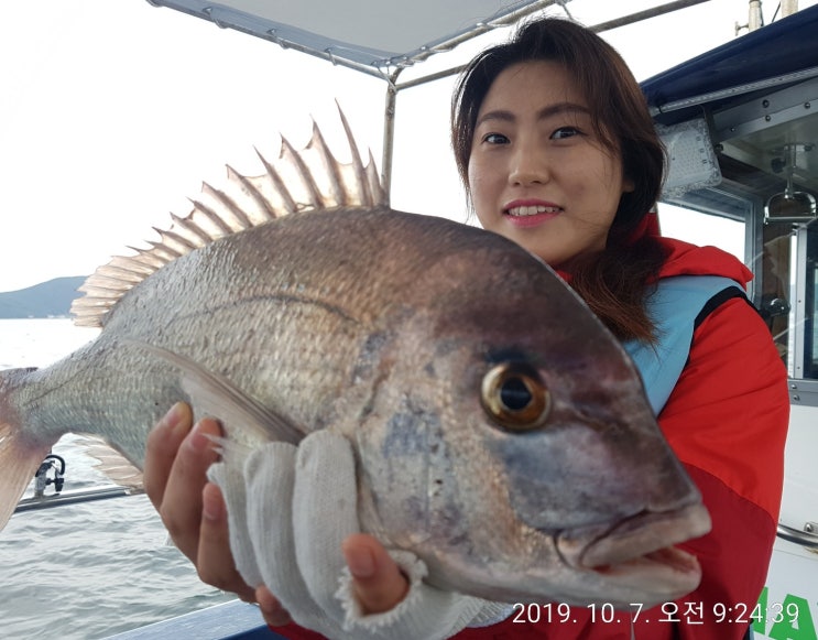  카사호 낚시체험~통영 오리지널 낚시프로그램 참돔 돌돔 쥐치 볼락까지 10월 7일 체험낚시 조황