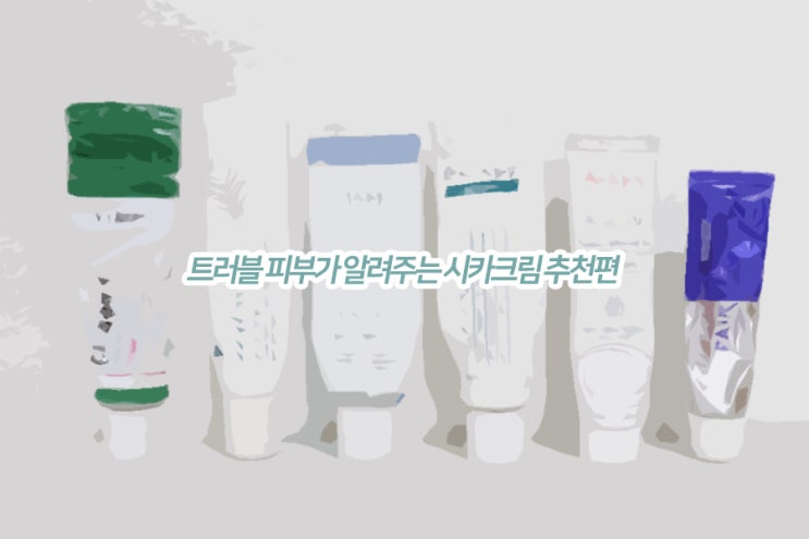  시카크림 추천 예민피부가 알려주는 꿀템들 공유
