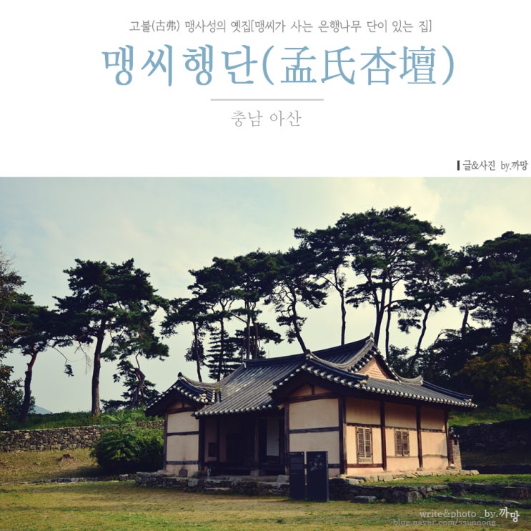  고불(古弗) 맹사성의 옛집 맹씨행단-세덕사-구괴정, 그리고 마을산책
