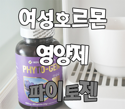  여성호르몬 영양제 파이토젠 먹는중!