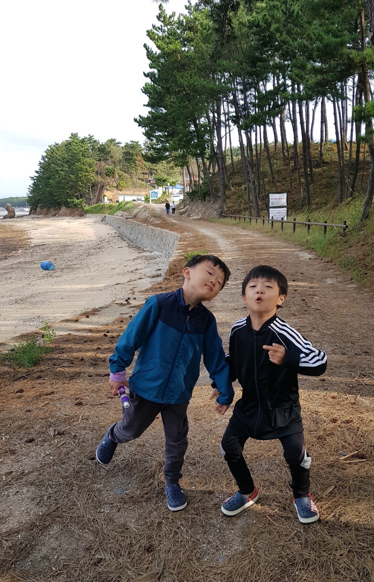  안면도 갑오징어 낚시 체험