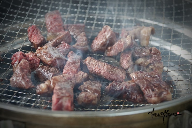  펜션 준비물 바베큐 고기 농협반값한우 나비한우로 부담없이 해결