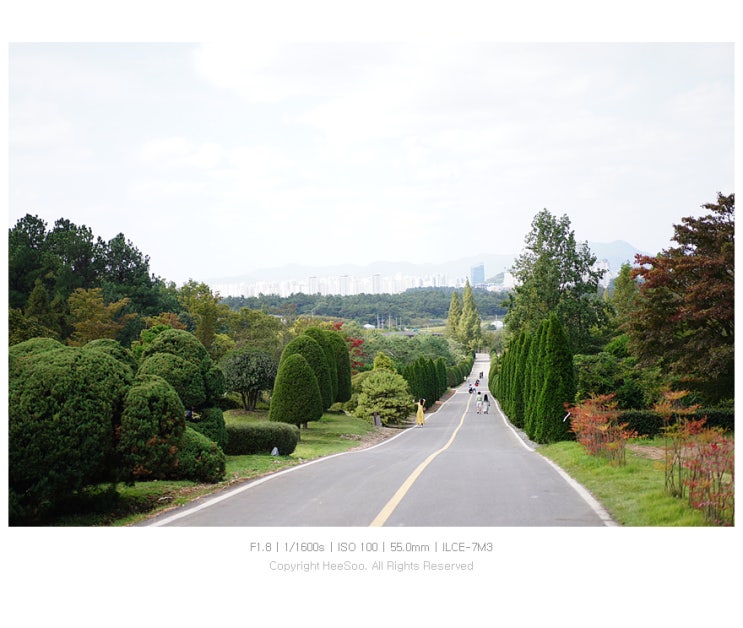  [a7m3+55mm f1.8 ZA] 광주근교 가볼만한곳 '나주 산림자원연구소'