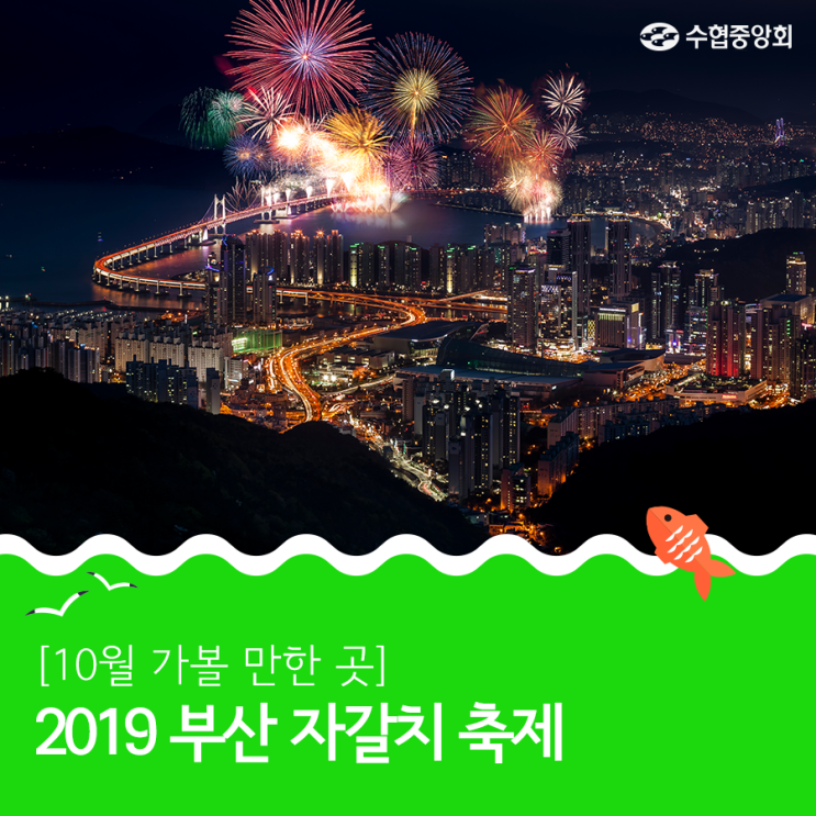 2019 부산 자갈치 축제, 10월 가볼만한 곳은 이곳!