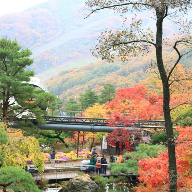  수도권에서 단풍 구경하기 좋은 곳 - 곤지암 화담숲