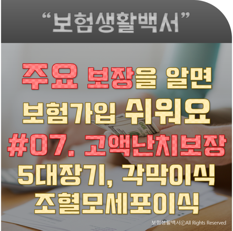  주요 보장을 알면 보험 가입 쉬워요 - #07. 고액난치보장