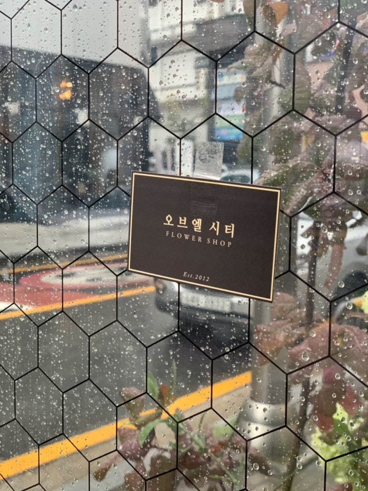  [대전/유성] 노은 3지구 꽃집 리뷰:: 오브엘 시티