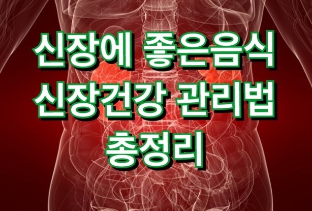 신장에 좋은 안좋은 음식 운동 증상 원인 습관 섭취요령 총정리