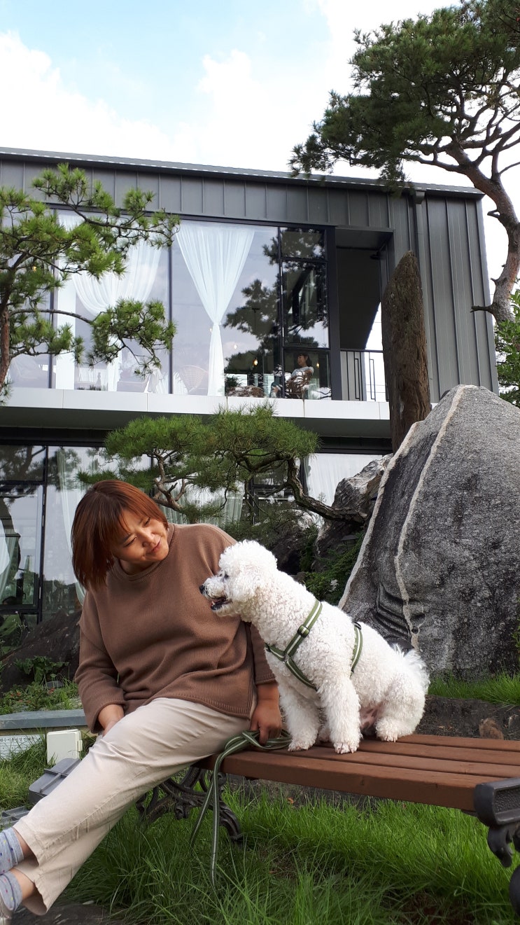  반려견 아주와 대전으로 떠난 가을 여행