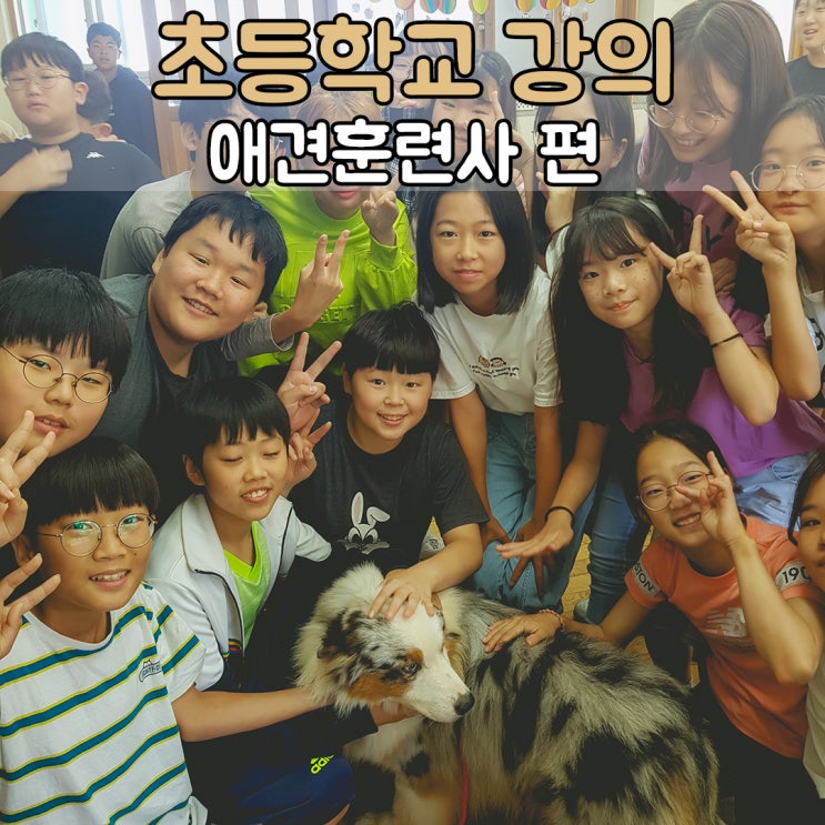  부산 태종대초등학교 강의, #애견훈련사 #애견훈련