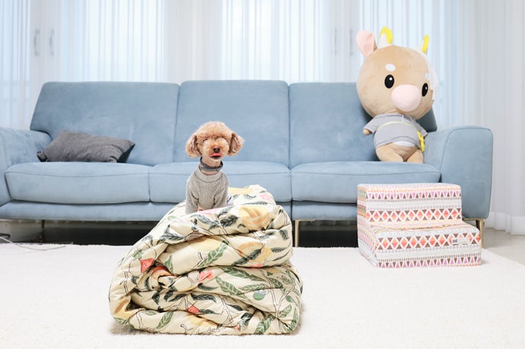  삼성 건조기 그랑데 겨울이불빨래도 걱정 없음!