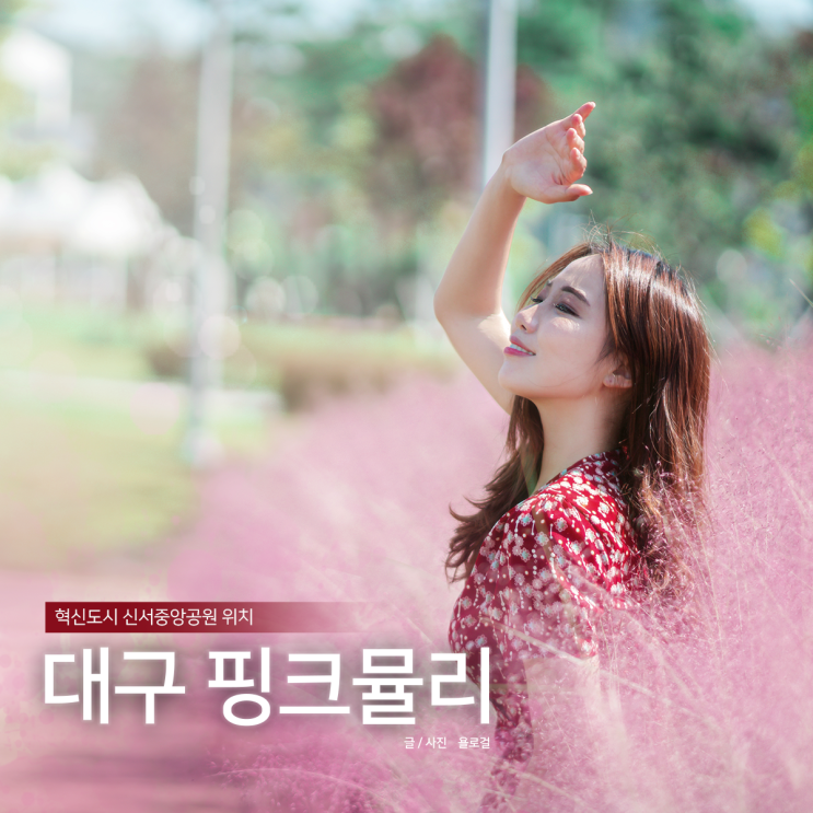  경북 대구 핑크뮬리 리스트 공유, 인물스냅 사진 찍기
