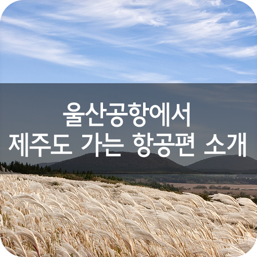  울산공항에서 제주도 가는 항공편 소개
