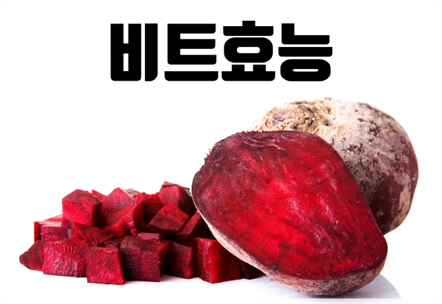  비트효능 붉은 빛의 건강 채소!