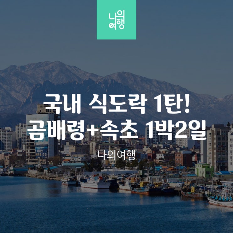  식도락여행 부산 출발 곰배령/속초 1박2일