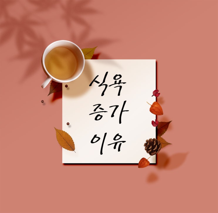  식욕증가이유 낱낱히 공개합니다