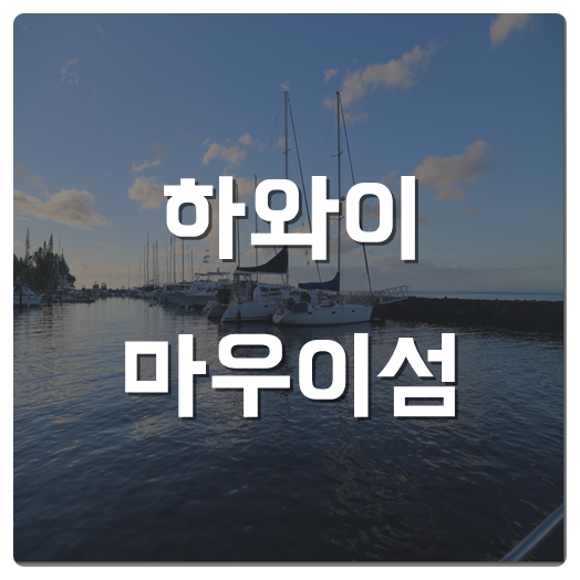  하와이 마우이섬에 간다면 꼭 해야하는것!
