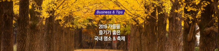  가을에 즐기기 좋은 국내명소, 축제 알아보기 (국내 여행/10월, 11월 여행지 추천)