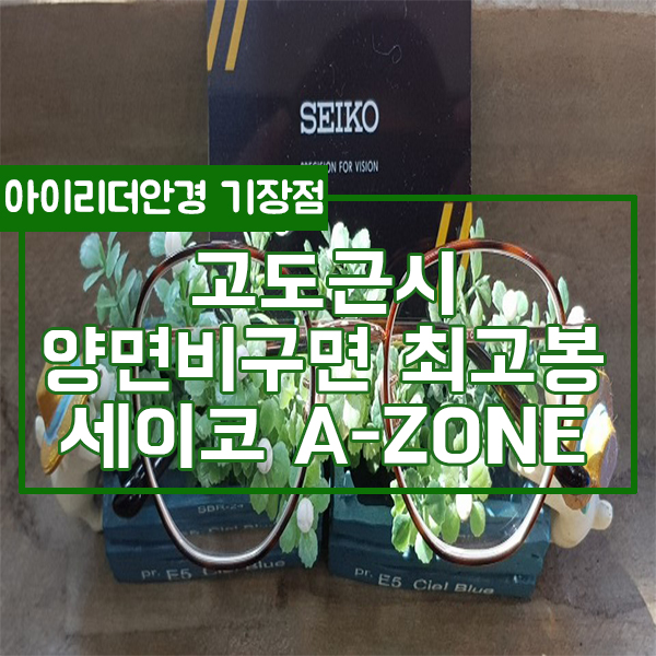  고도근시 양면비구면렌즈 최고봉 세이코 A-ZONE : 부산 기장 일광 정관 고도근시 안경 전문