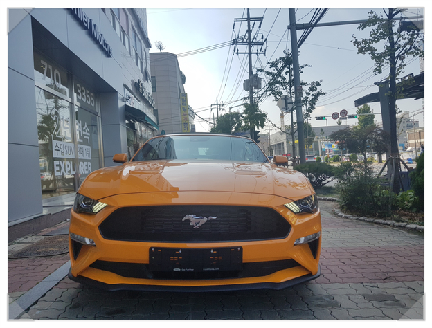 2019 포드 머스탱 10월 프로모션 역시나 좋아요 :)