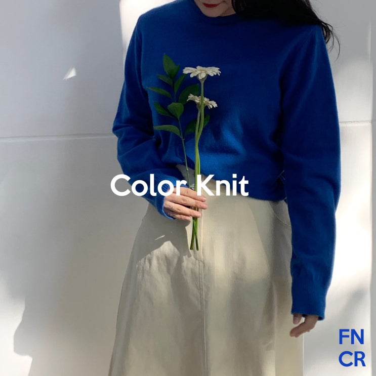  Color Knit/컬러니트/Funny Curly