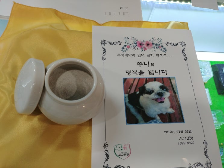 13년간 함께 한 우리 쭈니.. 이젠 마음으로 보낸 날.. 펫마루에서.. 13년간 함께 한 우리 쭈니.. 이젠 마음으로 보낸 날.. 펫마루에서..