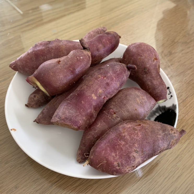  9월 고구마