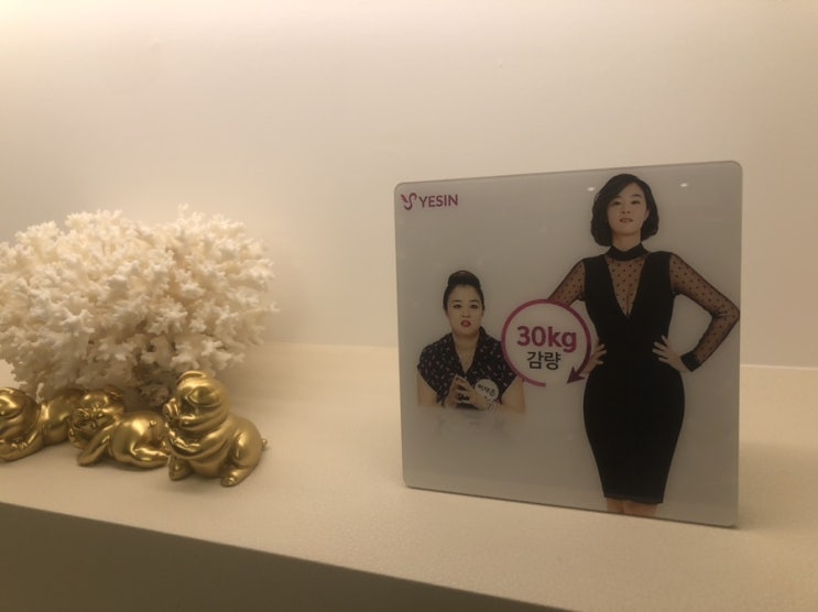  목동다이어트/연예인다이어트:예신 서울목동점에서 관리1회로 0.8kg 빠진 리얼후기(feat.운동없이요요없이다이어트)