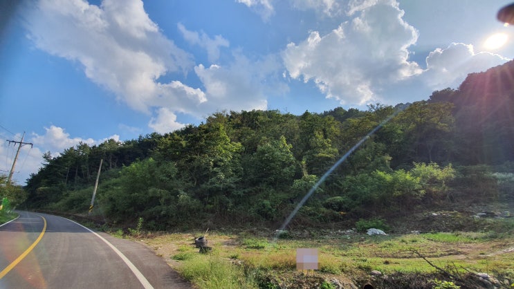  함안임야 땅 토지(319번)/함안군 군북면소재 2차선 도로변 임야 매매(함안부동산 의령부동산 창녕부동산)