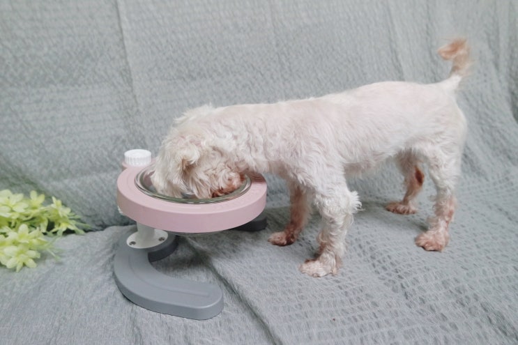  강아지밥그릇 첫 눈에 반해버린 리틀팩토리
