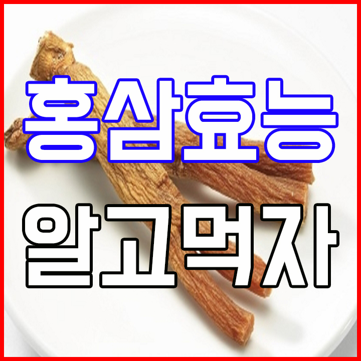  홍삼의 효능 알고 먹으면 좋다