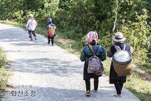  베트남 사파 트레킹 1박2일 여행, 소수민족과 함께한 힐링 (Sapa)