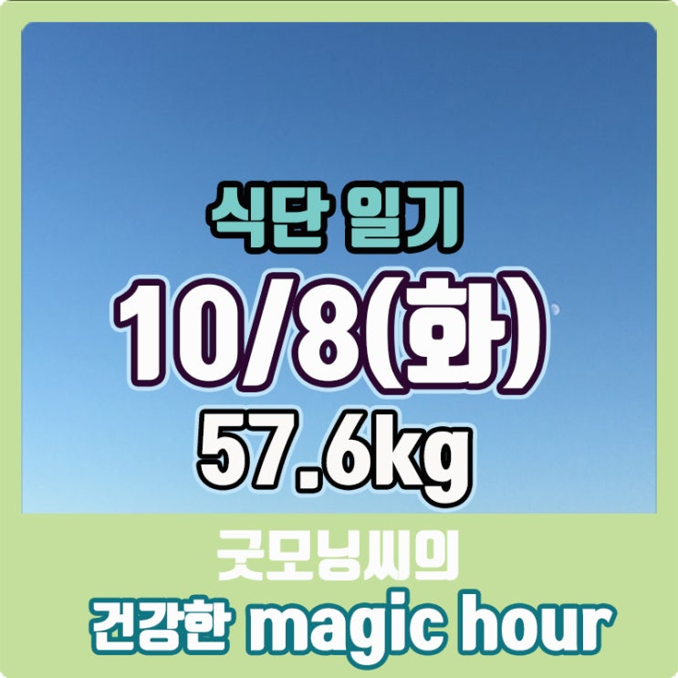  10월 8일(화) 식단 일기 57.6kg